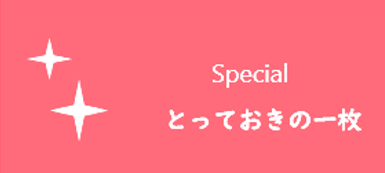 とっておきの一枚