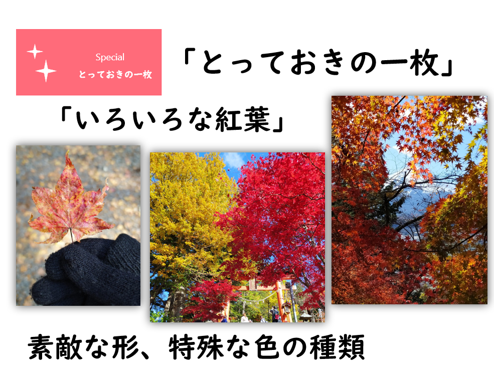 コスタリカからの参加者Eさん